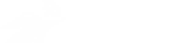 Free Flow Araucanía